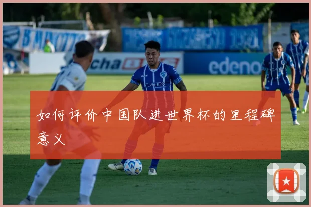 如何评价中国队进世界杯的里程碑意义