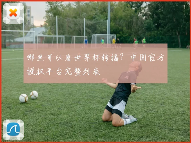 哪里可以看世界杯转播？中国官方授权平台完整列表